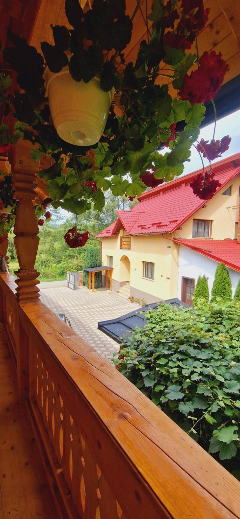 Pensiunea Malinul Birsana Номер фото